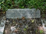 image number DSC_1872